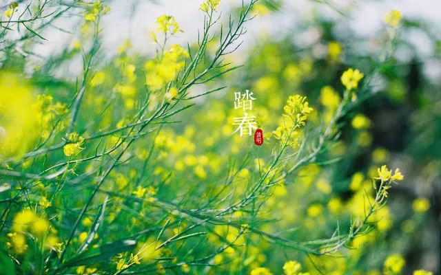 浅谈清明节与心理的呵护